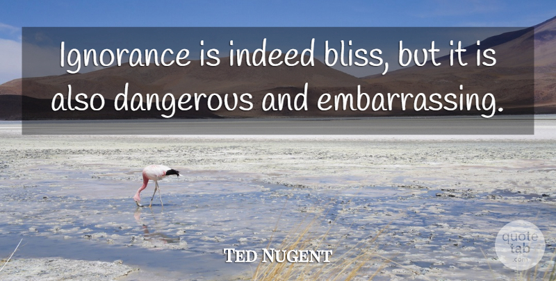 Ted Nugent Quote About Ignorance, Bliss, Embarrassing: Ignorance Is Indeed Bliss But...