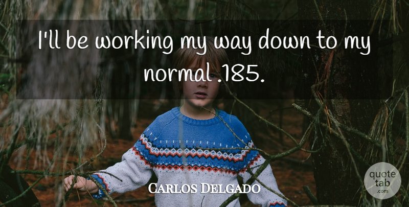 Carlos Delgado Quote About Normal: Ill Be Working My Way...