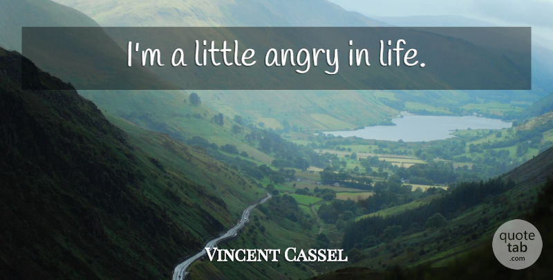 Vincent Cassel Quote About Littles, Angry: Im A Little Angry In...