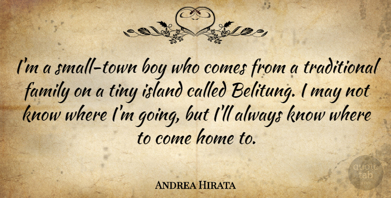 Andrea Hirata Quote About Family, Home, Island, Tiny: Im A Small Town Boy...