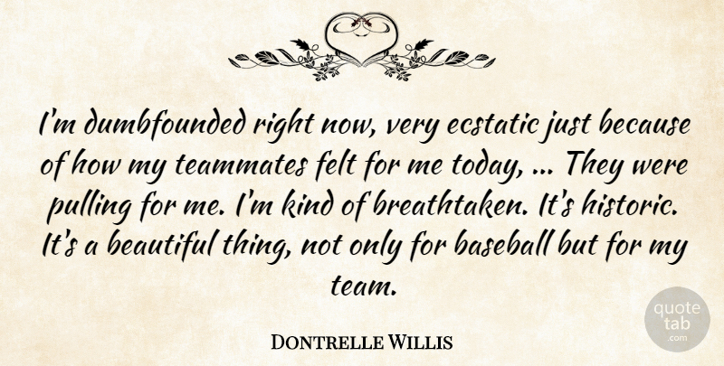 Dontrelle Willis Quote About Baseball, Beautiful, Ecstatic, Felt, Pulling: Im Dumbfounded Right Now Very...