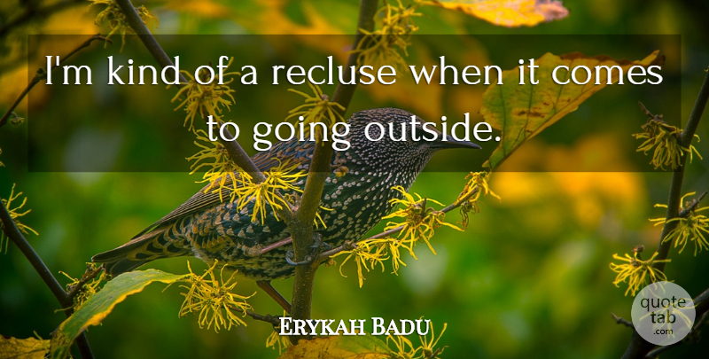 Erykah Badu Quote About Kind, Recluse: Im Kind Of A Recluse...