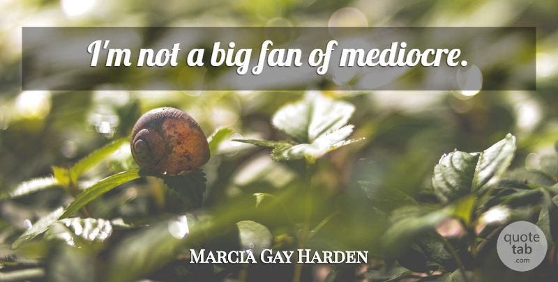 Marcia Gay Harden Quote About Fans, Bigs, Mediocre: Im Not A Big Fan...