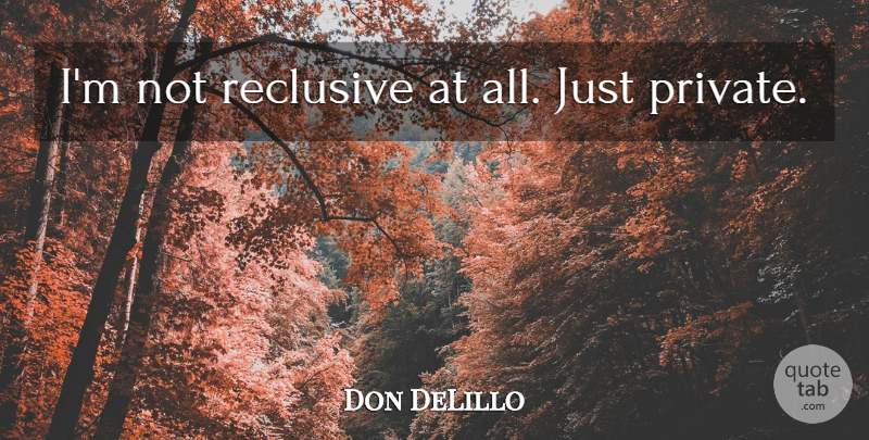 Don DeLillo Quote About undefined: Im Not Reclusive At All...