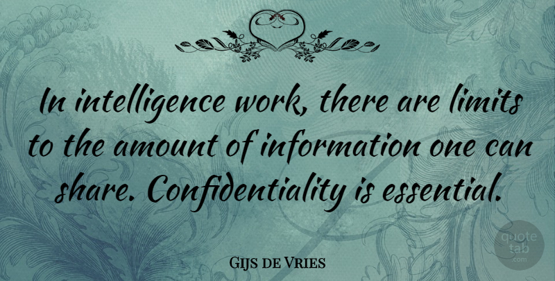 Gijs de Vries Quote About Information, Limits, Essentials: In Intelligence Work There Are...