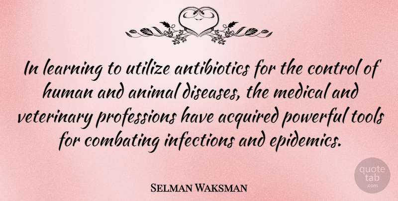 Selman Waksman Quote About Acquired, Animal, Human, Learning, Medical: In Learning To Utilize Antibiotics...