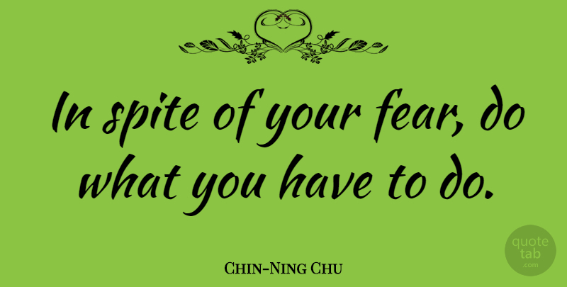 Chin-Ning Chu Quote About Fear, Spite: In Spite Of Your Fear...