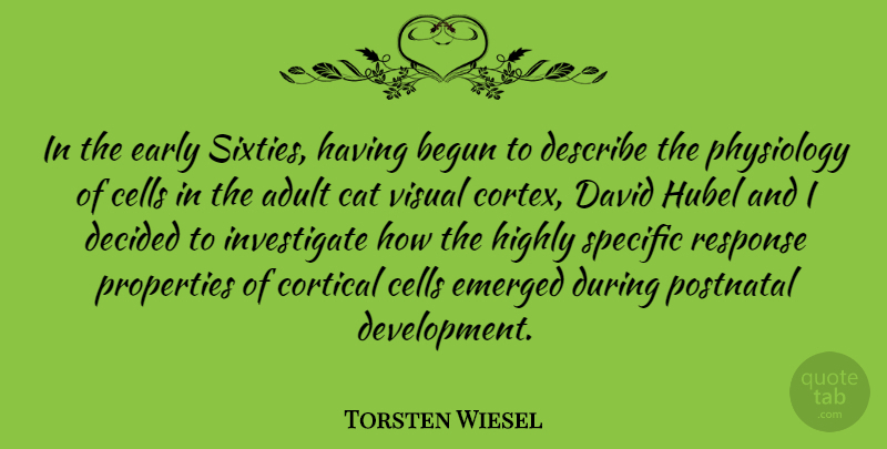 Torsten Wiesel Quote About Begun, Cells, David, Decided, Describe: In The Early Sixties Having...