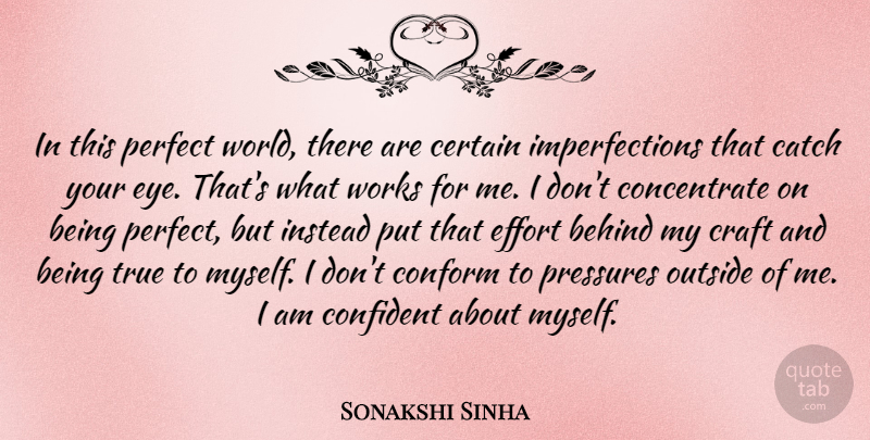 Sonakshi Sinha Quote About Eye, Perfect, Effort: In This Perfect World There...