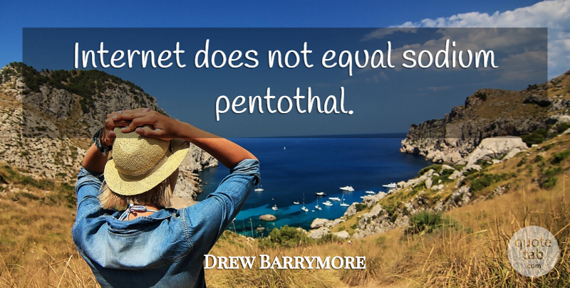 Drew Barrymore Quote About Sodium, Doe, Internet: Internet Does Not Equal Sodium...
