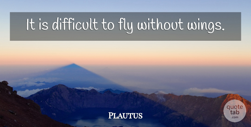 Plautus Quote About Wings, Difficult: It Is Difficult To Fly...