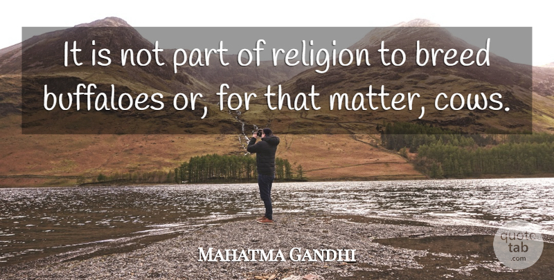 Mahatma Gandhi Quote About Religion, Cows, Matter: It Is Not Part Of...
