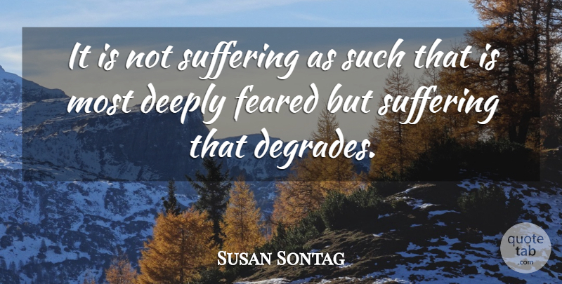 Susan Sontag Quote About World Suffering, Suffering, Degrade: It Is Not Suffering As...
