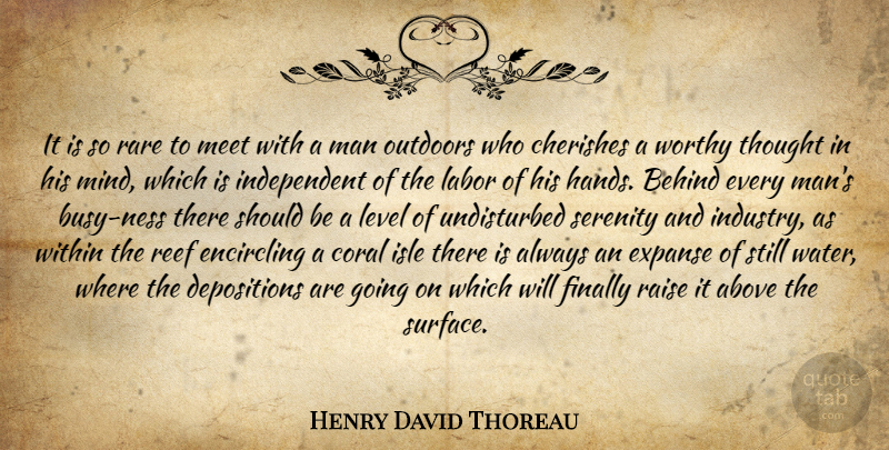 Henry David Thoreau Quote About Independent, Thoughtful, Men: It Is So Rare To...