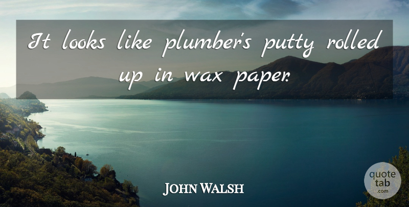 John Walsh Quote About Looks, Wax: It Looks Like Plumbers Putty...