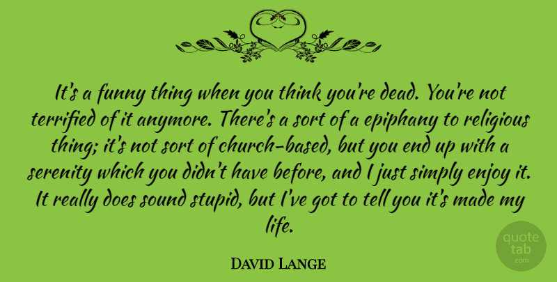 David Lange Quote About Enjoy, Epiphany, Funny, Life, Religious: Its A Funny Thing When...
