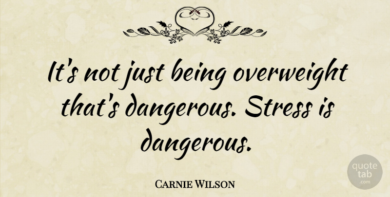 Carnie Wilson Quote About Stress, Just Being, Dangerous: Its Not Just Being Overweight...
