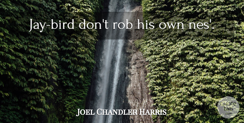 Joel Chandler Harris Quote About Bird: Jay Bird Dont Rob His...