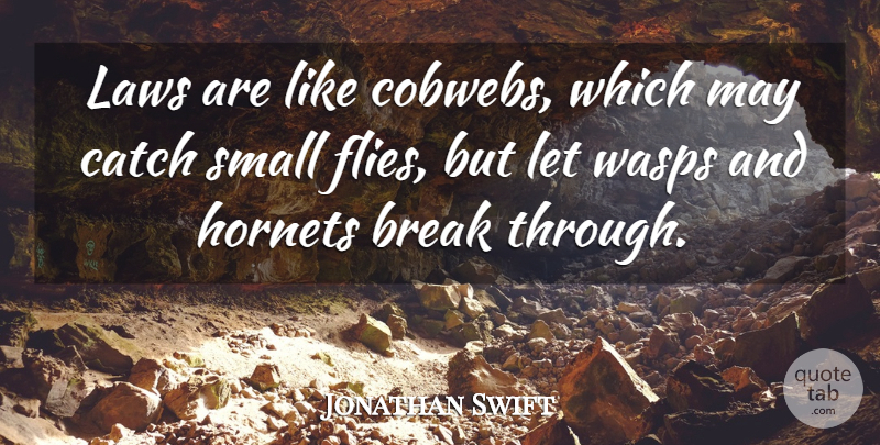 Jonathan Swift Quote About Inspirational, Law, Break Through: Laws Are Like Cobwebs Which...