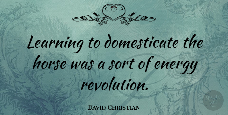 David Christian Quote About Energy, Horse, Learning, Sort: Learning To Domesticate The Horse...