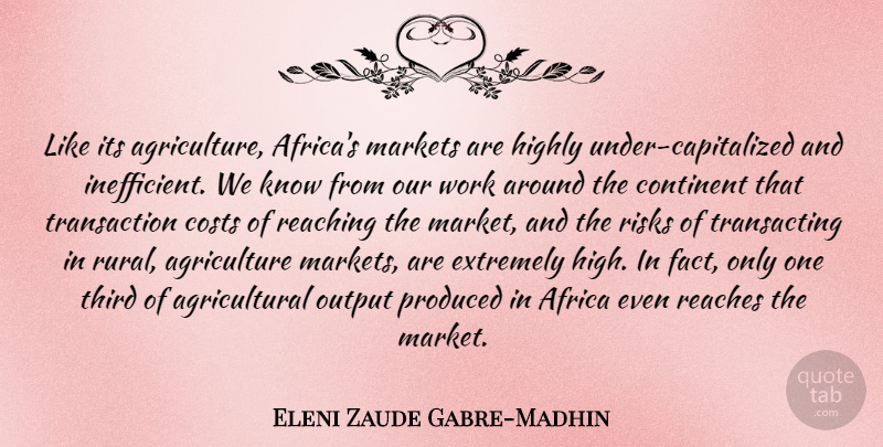 Eleni Zaude Gabre-Madhin Quote About Continent, Costs, Extremely, Highly, Markets: Like Its Agriculture Africas Markets...