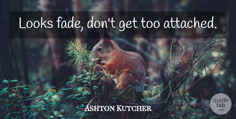 Ashton Kutcher Quote About Looks, Fades: Looks Fade Dont Get Too...