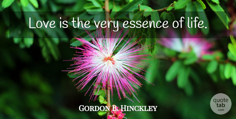 Gordon B. Hinckley Quote About Love, Essence, Pot Of Gold: Love Is The Very Essence...