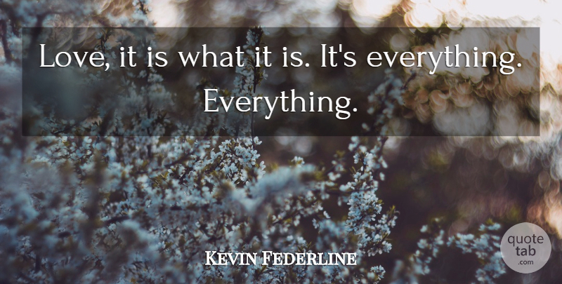 Kevin Federline Quote About undefined: Love It Is What It...