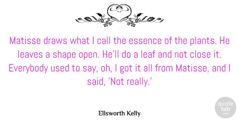 Ellsworth Kelly Quote About Call, Close, Draws, Essence, Everybody: Matisse Draws What I Call...