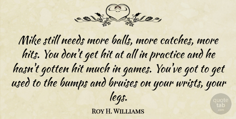 Roy H. Williams Quote About Bumps, Gotten, Hit, Mike, Needs: Mike Still Needs More Balls...