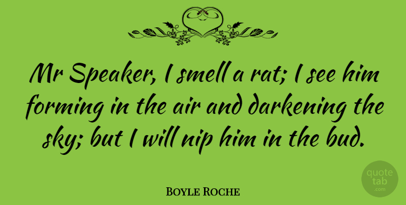 Boyle Roche Quote About Sky, Smell, Air: Mr Speaker I Smell A...