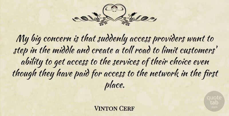 Vinton Cerf Quote About Ability, Access, Choice, Concern, Create: My Big Concern Is That...