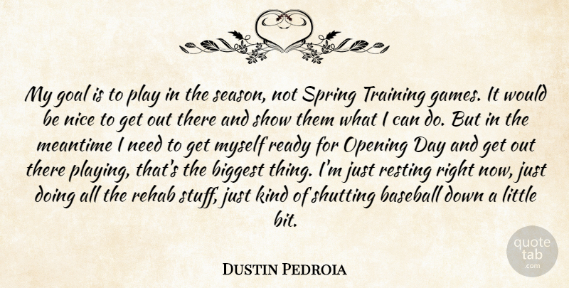Dustin Pedroia Quote About Baseball, Biggest, Goal, Meantime, Nice: My Goal Is To Play...