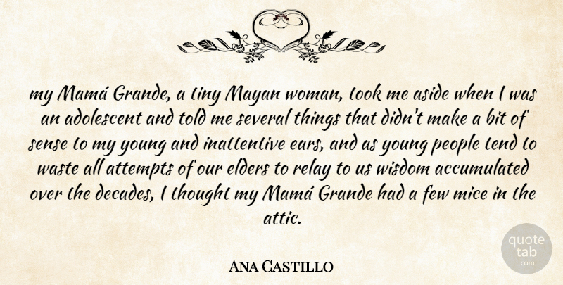Ana Castillo Quote About People, Ears, Waste: My Mama Grande A Tiny...