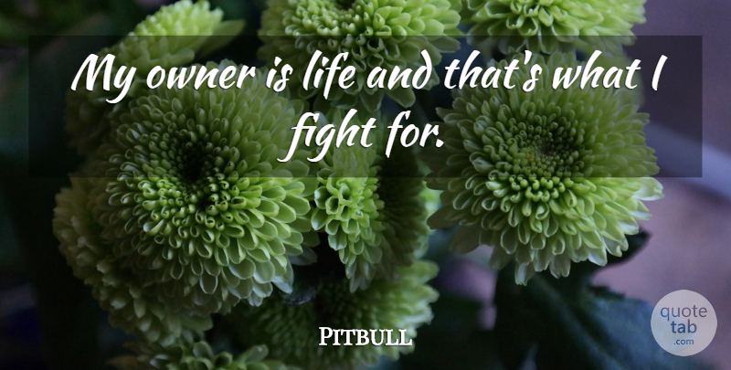 Pitbull Quote About Fighting, Owners: My Owner Is Life And...