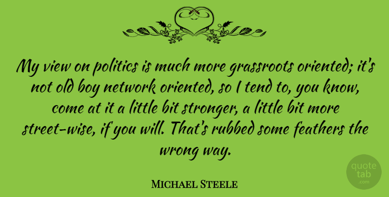 Michael Steele Quote About Wise, Boys, Views: My View On Politics Is...