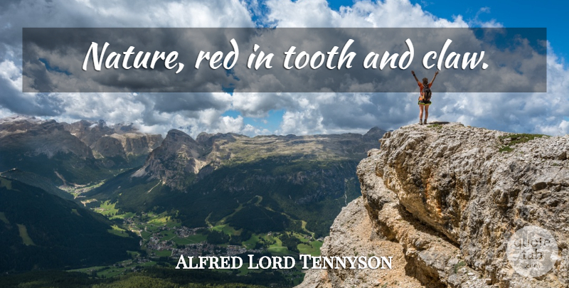 Alfred Lord Tennyson Quote About Nature, Red, Teeth: Nature Red In Tooth And...