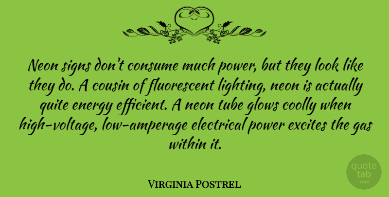 Virginia Postrel Quote About Consume, Cousin, Electrical, Excites, Gas: Neon Signs Dont Consume Much...