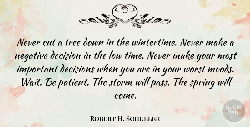 Robert H. Schuller Quote About Patience, Spring, Cutting: Never Cut A Tree Down...