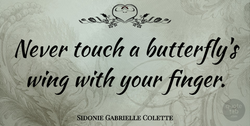 Sidonie Gabrielle Colette Quote About Butterfly, Butterfly Wings, Wings: Never Touch A Butterflys Wing...