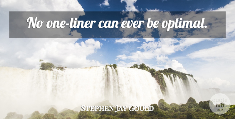 Stephen Jay Gould Quote About Statistics, One Liner, Optimal: No One Liner Can Ever...