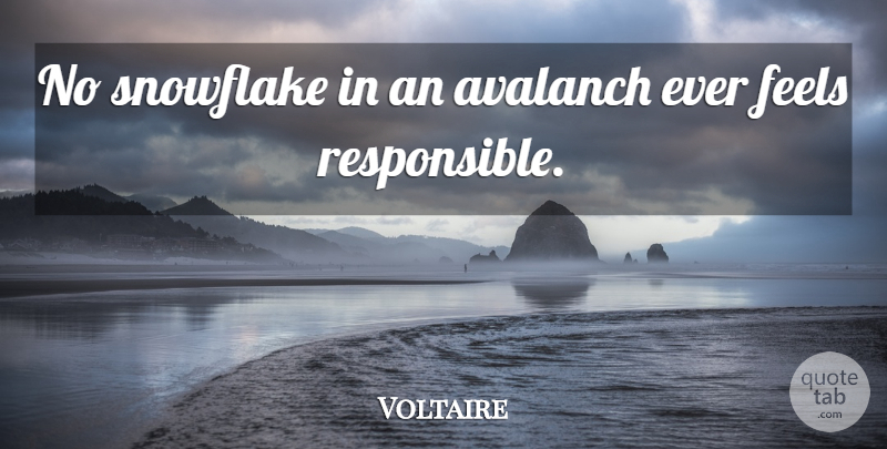 Voltaire Quote About Feels, Responsibility, Snowflake: No Snowflake In An Avalanch...