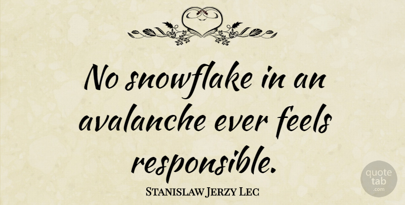 Stanislaw Jerzy Lec Quote About French Writer, Snowflake: No Snowflake In An Avalanche...