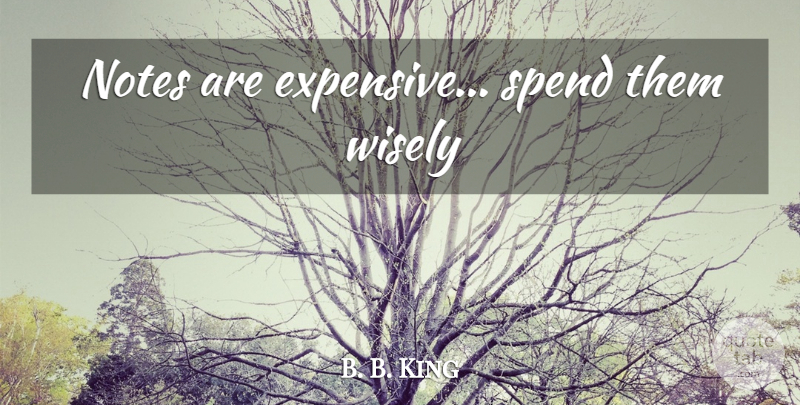 B. B. King Quote About Notes, Expensive: Notes Are Expensive Spend Them...