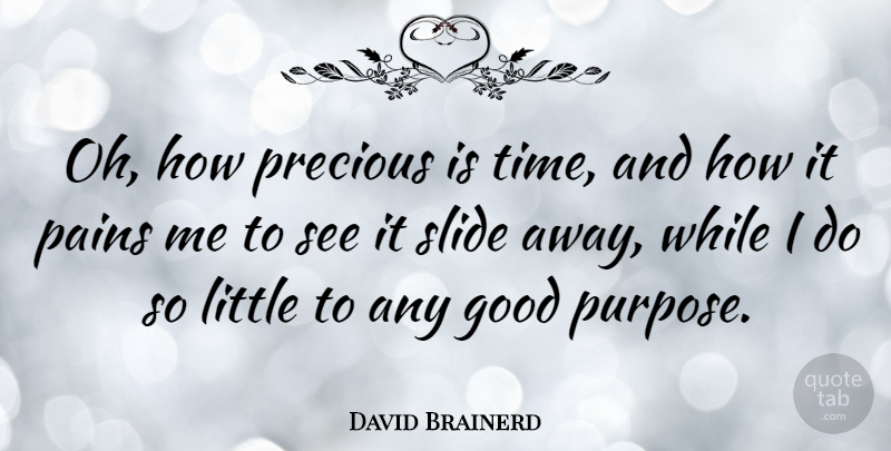 David Brainerd Quote About Time, Pain, Littles: Oh How Precious Is Time...