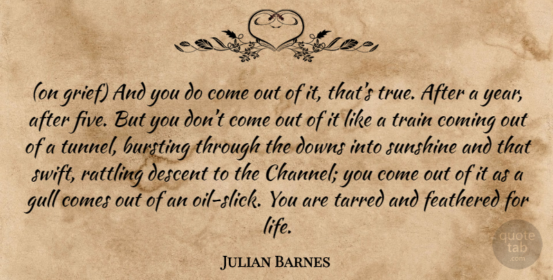 Julian Barnes Quote About Grief, Sunshine, Tunnels: On Grief And You Do...