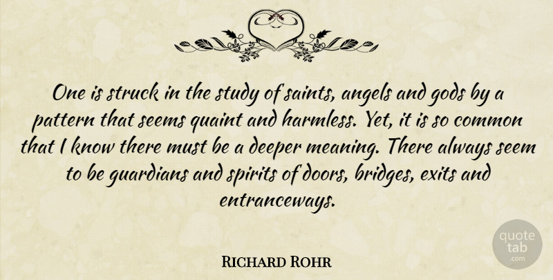 Richard Rohr Quote About Angel, Doors, Bridges: One Is Struck In The...