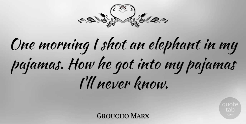 Groucho Marx Quote About Funny, Good Morning, Witty: One Morning I Shot An...