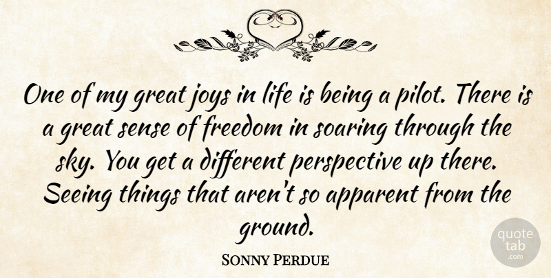 Sonny Perdue Quote About Apparent, Freedom, Great, Joys, Life: One Of My Great Joys...