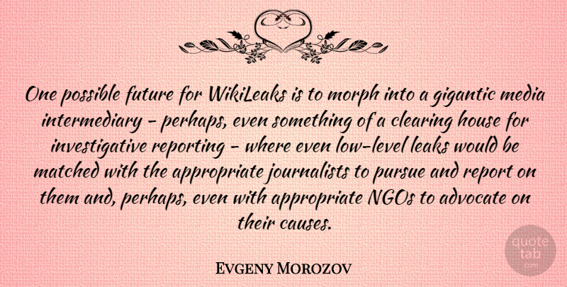 Evgeny Morozov Quote About Media, House, Would Be: One Possible Future For Wikileaks...